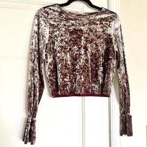 Zara Crushed Velvet Crop Top READ DESCRIPTION